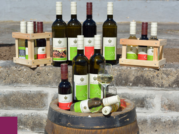 Verschiedenste Kreationen